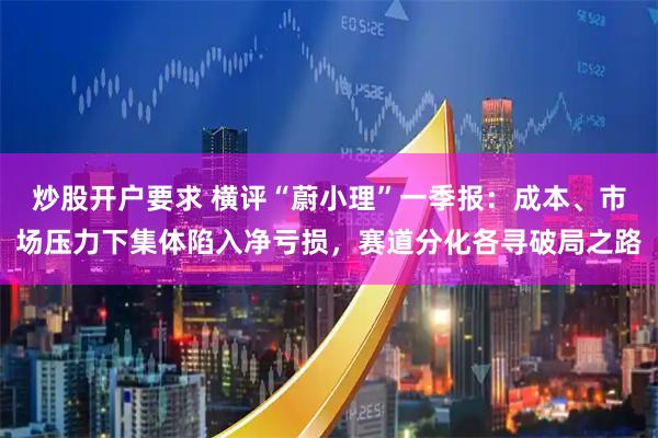炒股开户要求 横评“蔚小理”一季报：成本、市场压力下集体陷入净亏损，赛道分化各寻破局之路